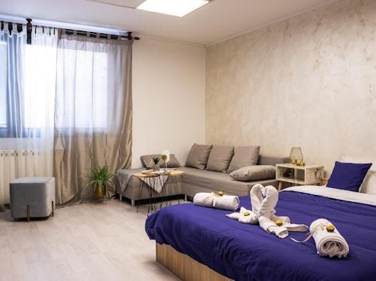 Center Cozy Apartment 苏博蒂察 外观 照片